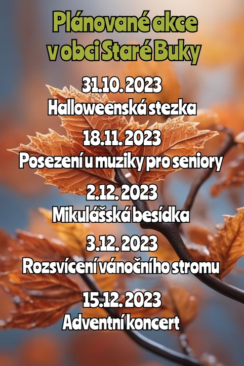 Polish_20231019_202547628.jpg